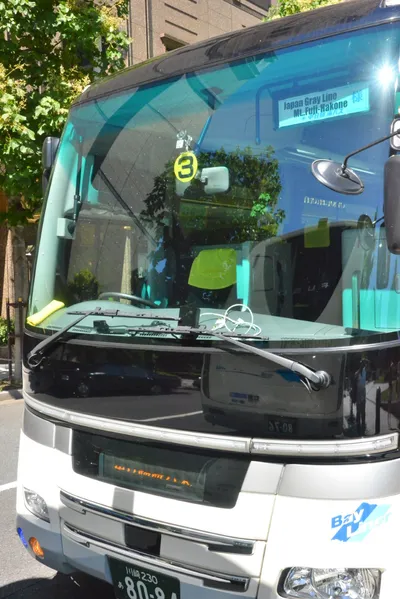 DSC_3606 (Large).JPG